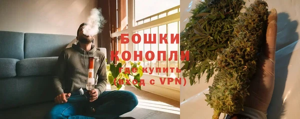 гашик Вяземский