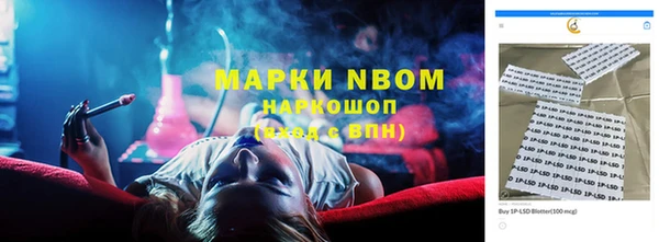гидра Горняк