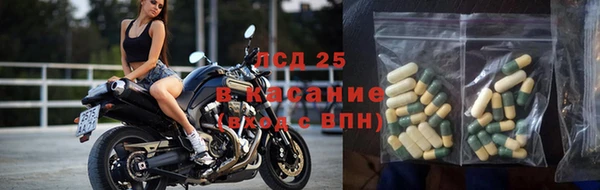 2c-b Горно-Алтайск