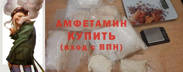 гашик Вяземский