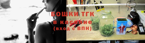 гидра Горняк