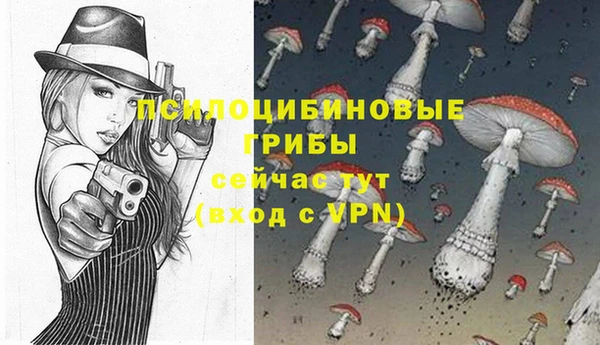 гидра Горняк