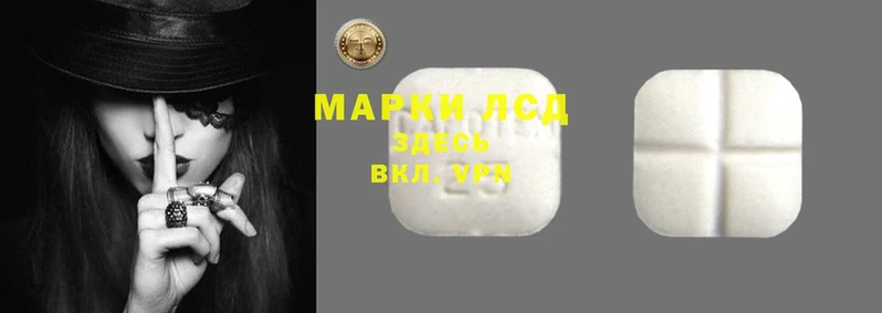 гашик Вяземский