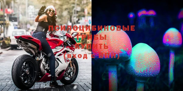 винт Горнозаводск