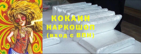 гашик Вяземский