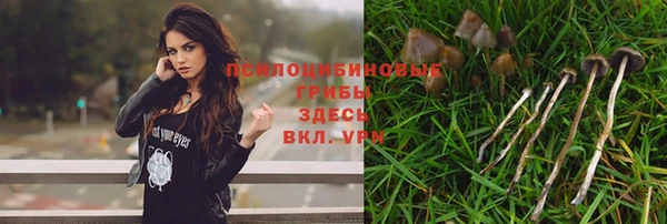 винт Горнозаводск