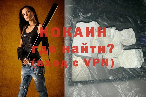 гидра Горняк