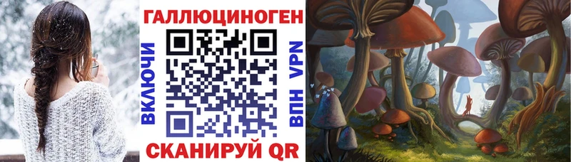 Псилоцибиновые грибы Magic Shrooms  Елабуга 