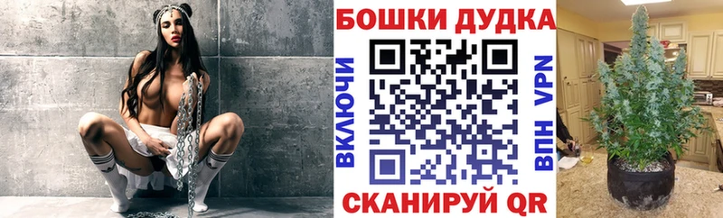Канабис MAZAR  сколько стоит  МЕГА как войти  Елабуга 
